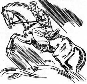 Тайны боевых искусств Украины - i_324.jpg