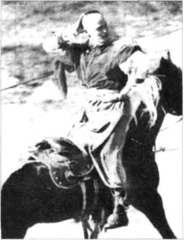 Тайны боевых искусств Украины - i_331.jpg