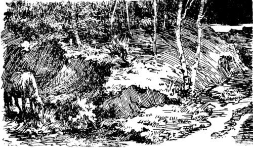 Смелые люди<br />(Повесть) - i_003.jpg