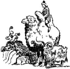 Стрелок и его друзья<br />(Сказки народов СССР) - i_006.jpg