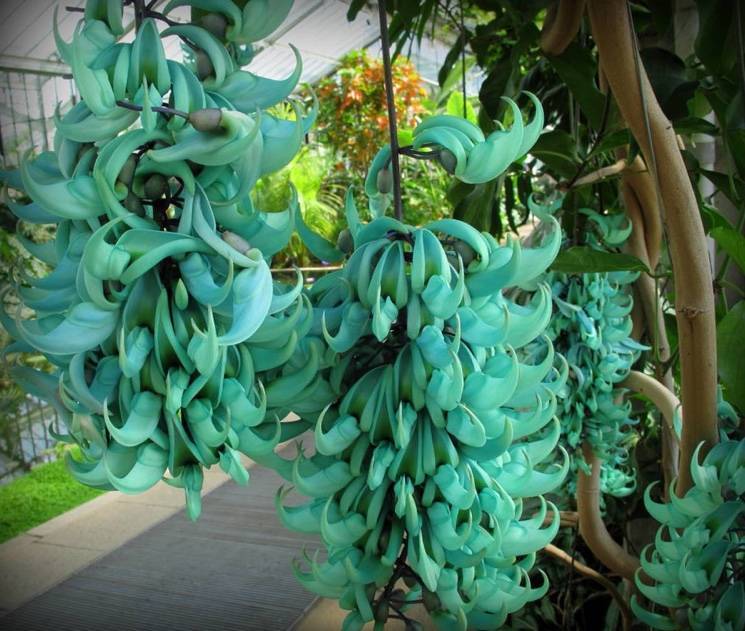 Против силы ветра (ЛП) - _2.jpg