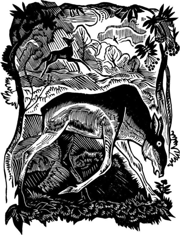 Вот они какие<br />(Повести и рассказы) - i_021.jpg