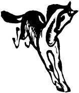 Вот они какие<br />(Повести и рассказы) - i_033.jpg