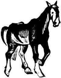 Вот они какие<br />(Повести и рассказы) - i_034.jpg