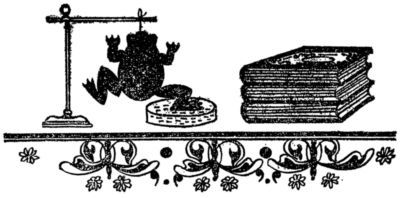 Тайны, догадки, прозрения<br />(Из истории физиологии) - i_002.jpg