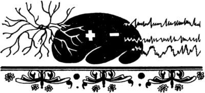 Тайны, догадки, прозрения<br />(Из истории физиологии) - i_005.jpg