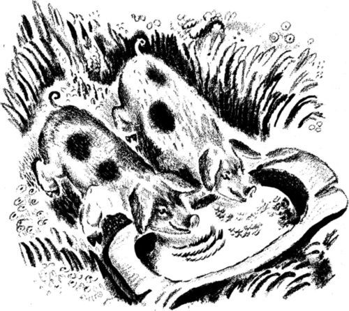 Кто умней<br />(Рассказы) - i_005.jpg