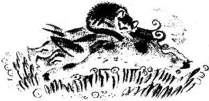 Кто умней<br />(Рассказы) - i_006.jpg