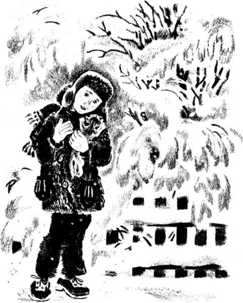 Кто умней<br />(Рассказы) - i_007.jpg