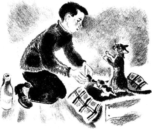 Кто умней<br />(Рассказы) - i_009.jpg