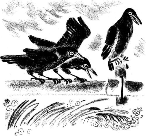 Кто умней<br />(Рассказы) - i_013.jpg