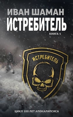 Книга Истребитель (СИ)