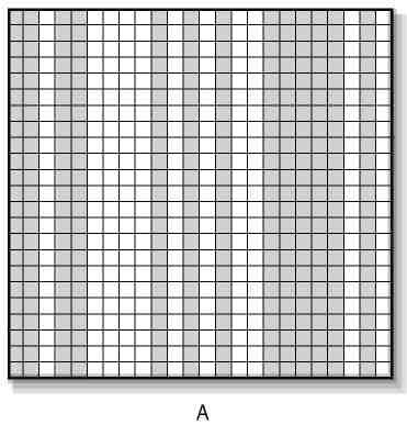 Вечность. В поисках окончательной теории времени - img_34.jpg