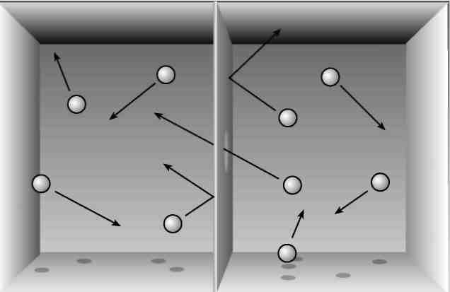 Вечность. В поисках окончательной теории времени - img_43.jpg