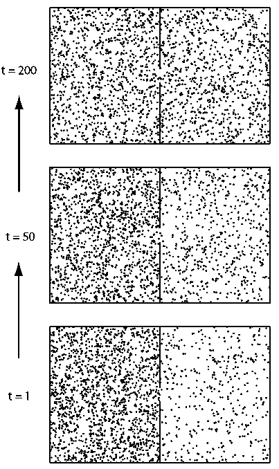 Вечность. В поисках окончательной теории времени - img_44.png