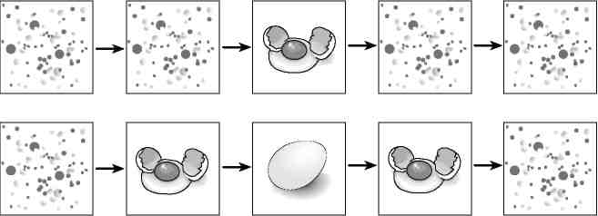 Вечность. В поисках окончательной теории времени - img_58.jpg