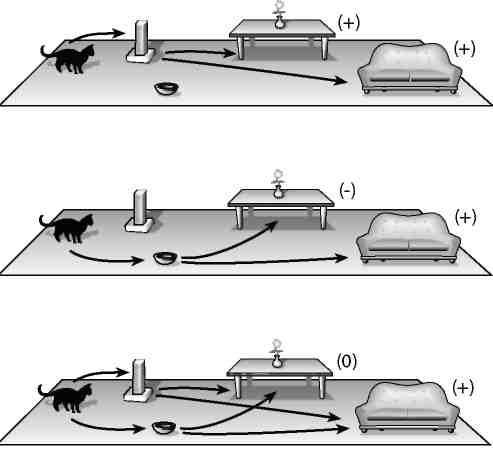 Вечность. В поисках окончательной теории времени - img_59.jpg