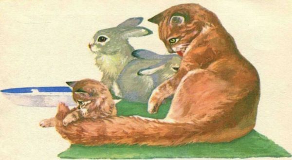 Ворона Ивановна<br />(Рассказы) - i_004.jpg