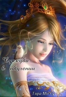 Книга Суккуба в обучении (СИ)