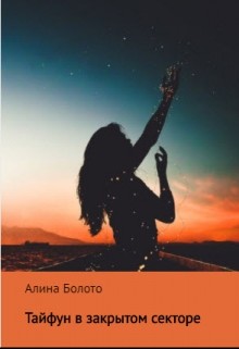Книга Тайфун в закрытом секторе (СИ)