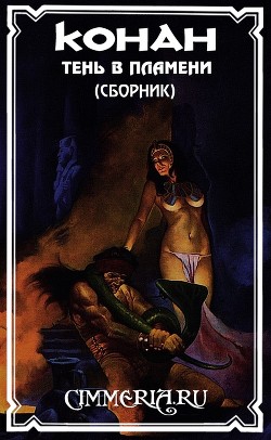 Книга Тень в пламени