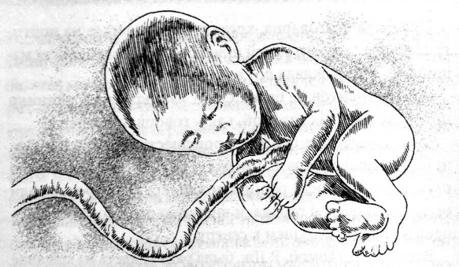 Доктор Коул - _6.jpg