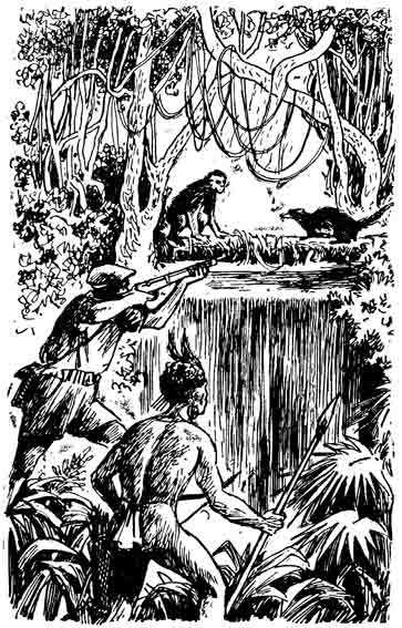 Остров Тамбукту - pic_10.jpg