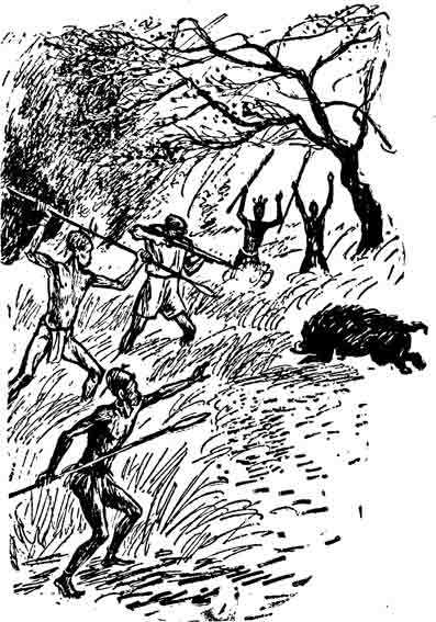 Остров Тамбукту - pic_26.jpg