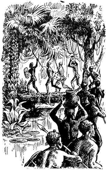 Остров Тамбукту - pic_7.jpg