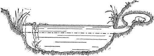 От инстинкта до разума<br />(Очерк науки о поведении) - i_014.jpg