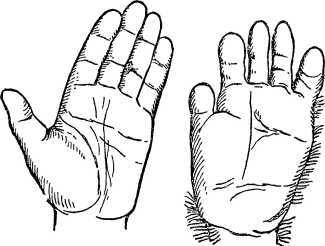 От инстинкта до разума<br />(Очерк науки о поведении) - i_020.jpg