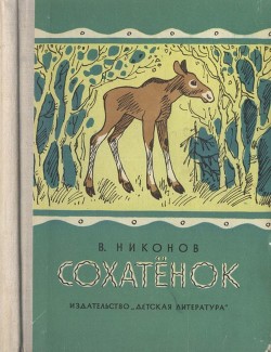 Книга Сохатёнок (Повесть)
