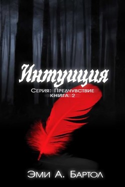 Книга Интуиция (ЛП)