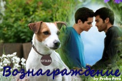 Читать онлайн книгу Вознаграждение (СИ) автор Книга Вознаграждение (СИ)