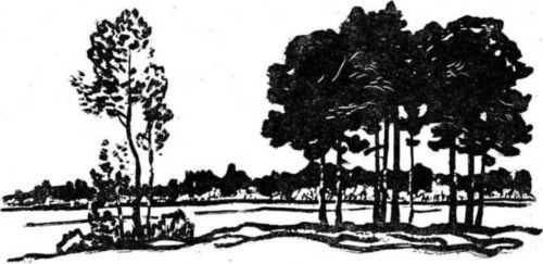 Латуня - i_005.jpg