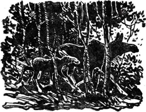 Латуня - i_007.jpg