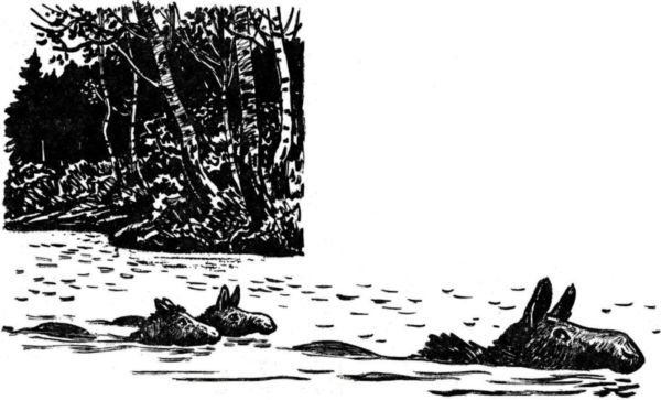 Латуня - i_008.jpg