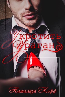 Книга Укротить ураган