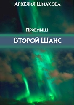 Книга Второй Шанс (СИ)