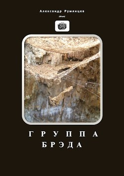 Книга Группа Брэда (СИ)