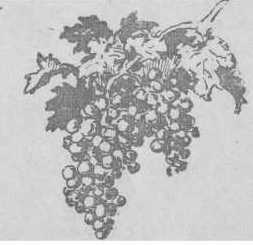 Помпа - _12.jpg