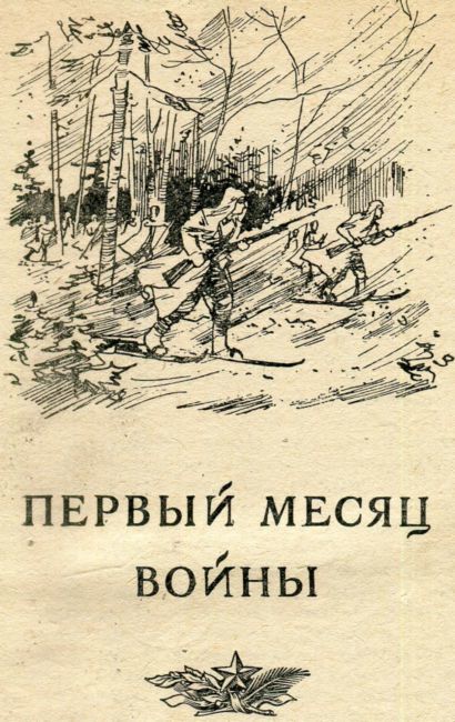 Бои на Карельском перешейке - i_007.jpg