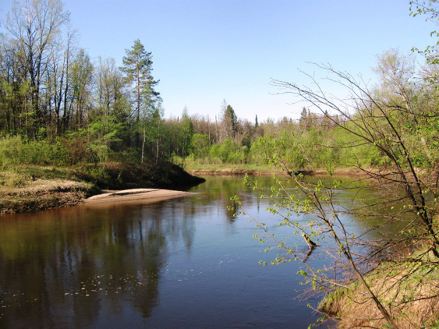 Прогулки с Лешим - _5.jpg