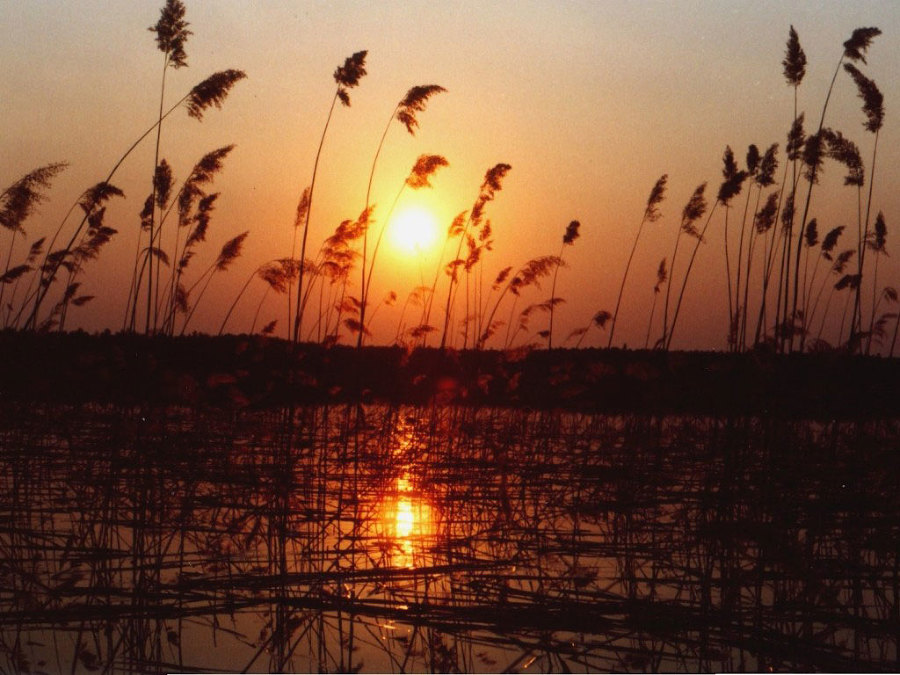 Прогулки с Лешим - _6.jpg