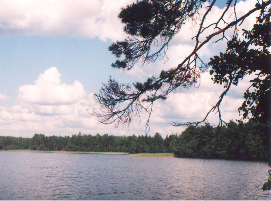 Прогулки с Лешим - _8.jpg