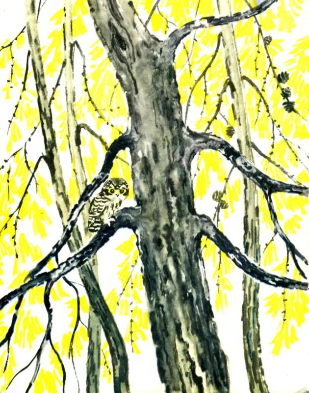 Лесные дети - i_001.jpg