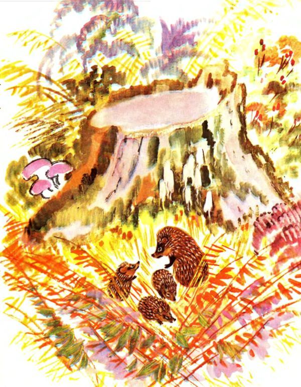 Лесные дети - i_012.jpg