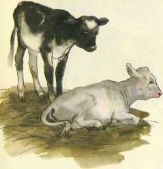 Малышка - i_020.jpg