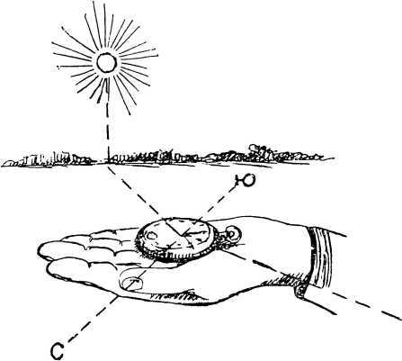 Мы читаем «Зеленую книгу» - i_011.jpg