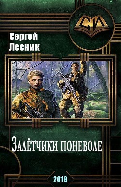 Книга Залётчики поневоле (СИ)